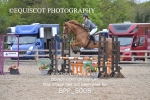 BPP_5008