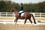SBM_003509