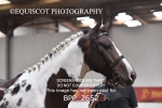 BPP_2652