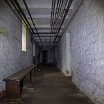 Cellars