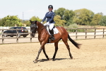 SBM_002987