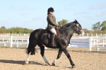 SBM_22189