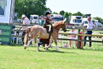 SBM_06003