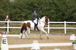 SBM_001019