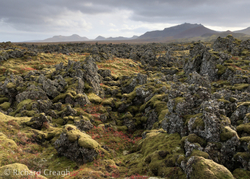 Light on Lava