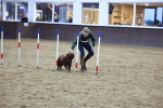SBM_005621