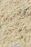 230611A-094642-04612