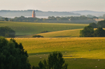 z1680 Morning Light, Bowcombe