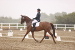 SBM_004734