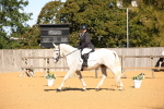 SBM_18436