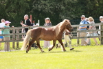 SBM_02511