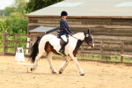 SBM_000882