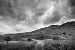 Abandoned Farmhouse near Kinloch Hourn
