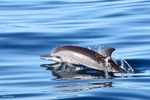 IMG_2816 Mayotte
