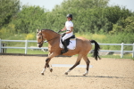 SBM_009976