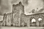 Tintern Abbey