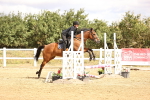 SBM_006580
