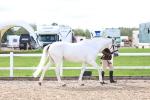 SBM_01897