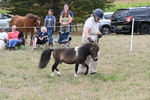 WJ6_5684