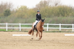 SBM_006782