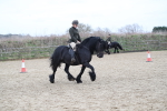 SBM_007233