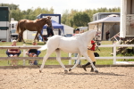 SBM_04557