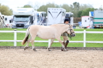 SBM_03893