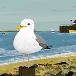 Gull at the seaside