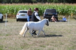 WJ6_4796