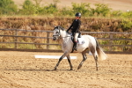 SBM_000429