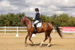 SBM_006481
