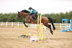 SBM_025567