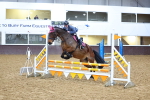 SBM_001616