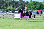 SBM_12136