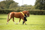 SBM_44532