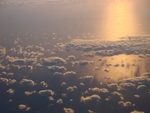Borneo at dawn