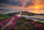 z1394 Sunset, Headon Warren