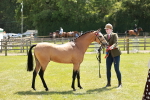 SBM_05588