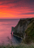 Bempton Cliffs 5