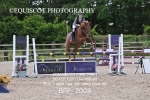 BPP_2008