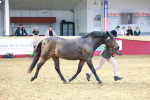 SBM_17497