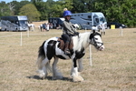 WJ6_9165