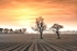 Suffolk Sunset