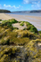 Arnside Shore 3