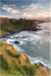 Sea Pinks at Dunluce Castle (IMG1262)