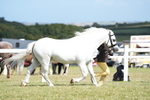 DSC07548