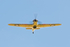 _MG_0860