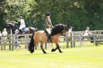 SBM_07039