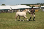 SBM_06971