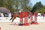 SBM_38771
